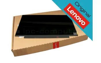 02DA381 Lenovo original IPS Display FHD matt 60Hz (height 19.5 cm)