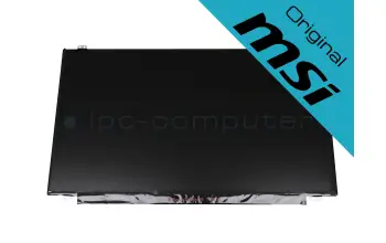 Original MSI IPS display FHD matt 60Hz for MSI GP63 8RE (MS-16P5)