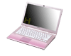 Sony VAIO PCG-61111M