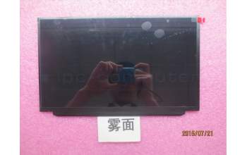 Lenovo 00HM745 DISPLAY LGD 12.5 FHD IPS AG