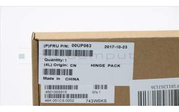 Lenovo 00UP063 Hinge,L/R,Silver
