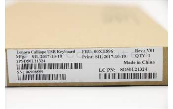 Lenovo DT_KYB USB Calliope KB BK DEN for Lenovo V520s (10NM/10NN)