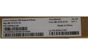 Lenovo 00XH603 DT_KYB USB Calliope KB BK GRE/US