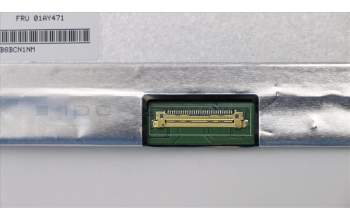 Lenovo 01AY471 DISPLAY 15.6\",HD,AG