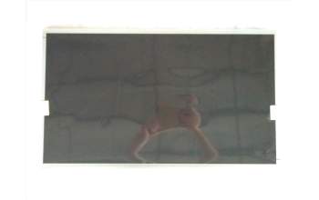 Lenovo 01EF670 MECH_ASM Assy Panel LG M800