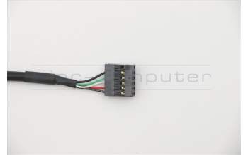 Lenovo Fru, 200mm Rear USB2 cable (1 ports USB for Lenovo ThinkCentre M720s