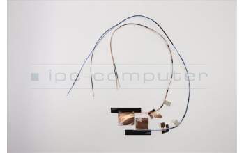 Lenovo 02DM541 ANTENNA FRU ACCY KITS ANTENNA WLAN+WWAN