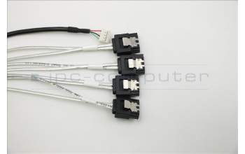 Lenovo 03X3989 450mm MiniSAS-4SATA V1.0