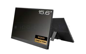 Portable display 15.6 WQHD USB-C/HDMI for MSI Modern 15 H AI C1 C1MOG (MS-15H5)