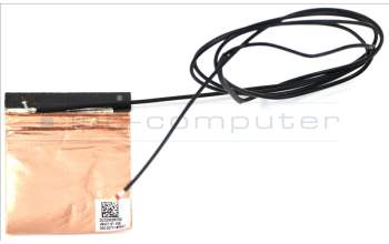Acer 50.AYCN2.003 ANTENNA.MAIN