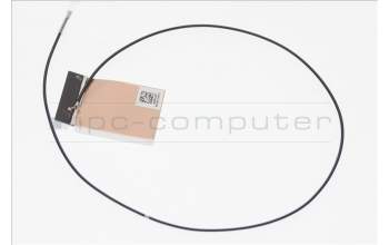Acer 50.VM5N8.004 Acer Antenne / Antenna TravelMate P6 P614-51T-G2 Serie (Original)