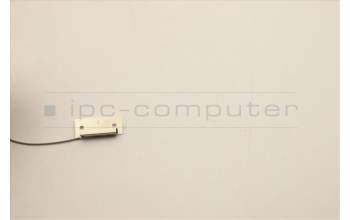Lenovo 5A30W89231 ANTENNA Fru,17L FR ANT_LUX