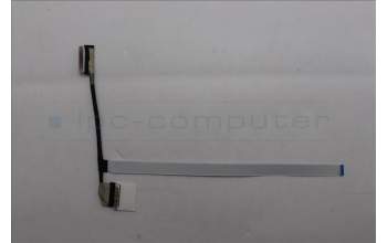 Lenovo 5C10S31205 EDP cable W 83J3