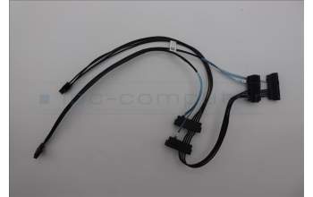 Lenovo 5C10U58705 Fru,Broadcom SATA 4-drop cable
