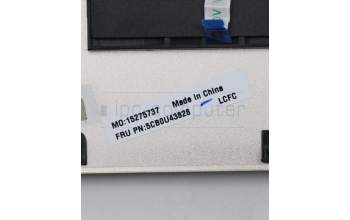 Lenovo 5CB0U43828 COVER Upper Case ASM_HG L 81TD MC