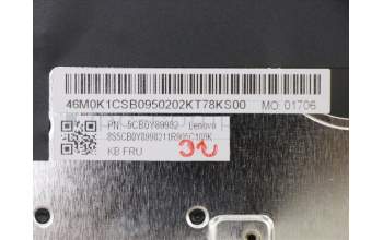 Lenovo 5CB0Y89982 COVER Upper Case ASM_ND BL FP W81X3PG