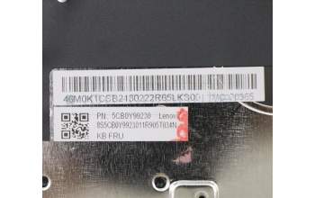 Lenovo 5CB0Y99230 COVER Upper Case ASM_FR BL FP W81X3GY