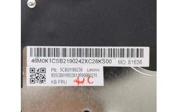 Lenovo 5CB0Y99236 COVER Upper Case ASM_HB BL FP W81X3GY