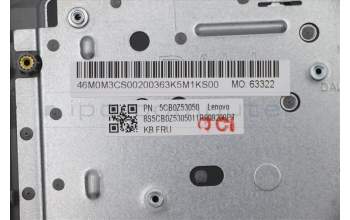 Lenovo 5CB0Z53050 C-Abdeckung mit Tastatur, Deutsch, Platingrau, Nicht_beleuchtet