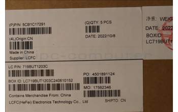 Lenovo 5CB1C17291 C-Cover with keyboard, Ukraine, Platinum Grey, Non-Fingerprint, US