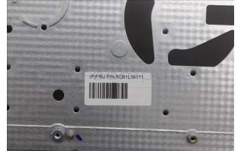 Lenovo 5CB1L39171 C-Abdeckung mit Tastatur, Spanisch, arktisgrau, Ohne_Fingerabdruckscanner