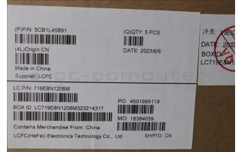 Lenovo 5CB1L45891 C-Abdeckung mit Tastatur, Skandinavien, arktisgrau, Hintergrundbeleuchtung, Fingerabdruckleser