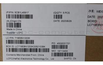 Lenovo 5CB1L45917 C-Abdeckung mit Tastatur, Arabisch, arktisgrau, Ohne Hintergrundbeleuchtung, Fingerabdruck, US