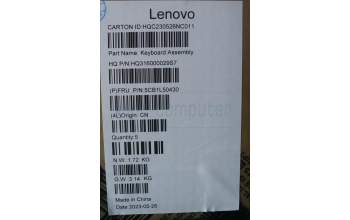 Lenovo 5CB1L50430 C-Abdeckung mit Tastatur, Belgisch, arktisgrau, Ohne Fingerabdruck, GB