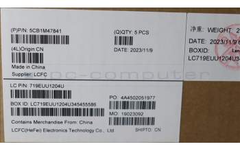 Lenovo 5CB1M47841 C-Cover with keyboard,Switzerland,Arctic Grey,Fingerprint