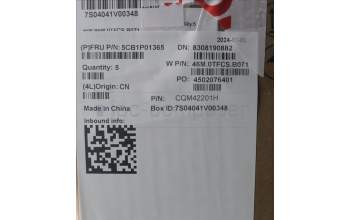 Lenovo 5CB1P01365 C-Cover with keyboard, US English Euro, Arctic Grey, Backlight, US