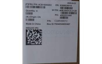 Lenovo 5CB1S00203 C-Abdeckung mit Tastatur, Ukraine, arktisgrau, Hintergrundbeleuchtung, U-Serie