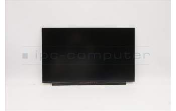 Lenovo 5D10Z57250 Lenovo LCD Module,15.6\",FHD,Non-Touch,Anti-Glare,IPS,300nit,Color Calibration