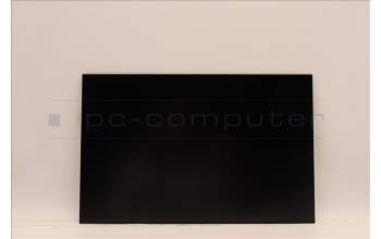 Lenovo 5D11H71488 DISPLAY FRU 16 16:10 2.5k IPS Color CS