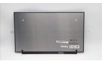 Lenovo 5D11M51969 Lenovo DISPLAY,15.6\",0,Anti-Glare,IPS,350nit,100%sRGB