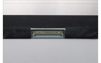 Lenovo 5D11P79769 Lenovo DISPLAY, 13.3\", WUXGA, Touch, Anti-Glare, IPS, 400nit, 100%SRGB