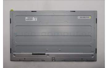 Lenovo 5D20X67389 Lenovo DISPLAY, 27\", WQHD, Non_Touch, Anti-Glare, IPS, 400nit, 99%sRGB