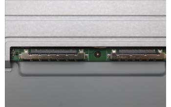 Lenovo 5D20X67389 Lenovo DISPLAY, 27\", WQHD, Non_Touch, Anti-Glare, IPS, 400nit, 99%sRGB