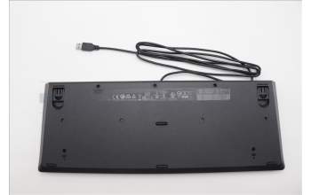 Lenovo 5D50U84624 AI Keyboard External,USB,Traditional Chinese,Black
