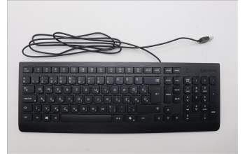 Lenovo 5D50U84728 AI Keyboard External,USB,Hungarian,Black