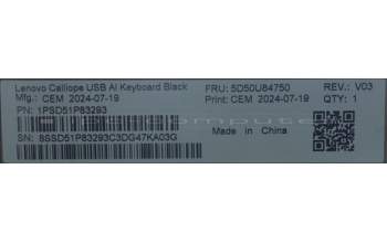 Lenovo 5D50U84750 AI Keyboard External,USB,Arabic,Black