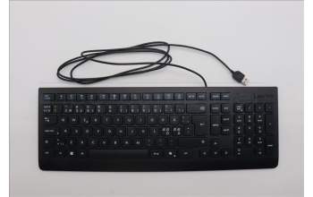 Lenovo 5D50U84754 AI Keyboard External,USB,Nordic,Black