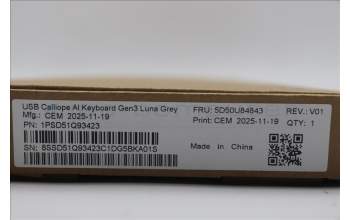 Lenovo 5D50U84843 Keyboard External, USB, Russian/Cyrillic, Luna Grey