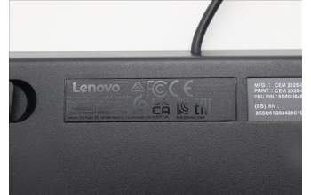 Lenovo 5D50U84848 Keyboard External, USB, Swiss French/German, Luna Grey