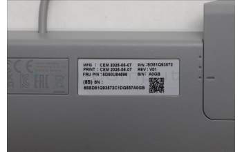 Lenovo 5D50U84896 Keyboard External, USB, Swiss French/German, Cloud Grey