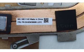 Lenovo 5H40W36686 Thermal Module,w/FAN,UMA