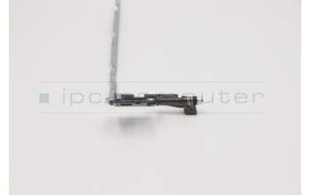 Lenovo 5H50S28938 HINGE Hinge W 81VR