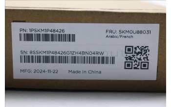 Lenovo 5KM0U88031 AI Keyboard_Mouse,2.4G,Arabic/French,Cloud Grey