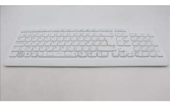 Lenovo 5KM1C40644 Keyboard_Mouse,2.4G,Belgium English,Grey