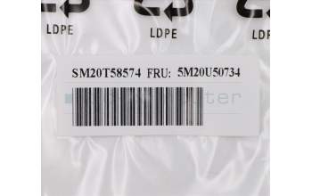 Lenovo 5M20U50734 MECHANICAL Blank HDD Bzl,P340