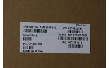 Lenovo 5M21L98613 FRUThermalGelFujiPolySPG30B